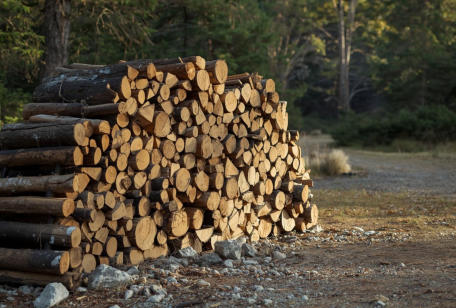 firewood is available at our campground